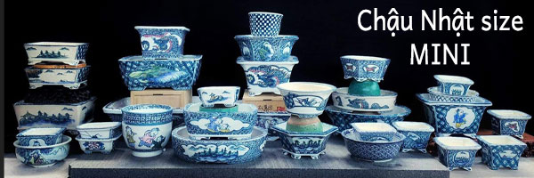 JAPAN Pots sale in Vietnam