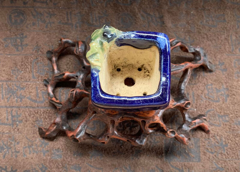 Chậu ếch của nghệ nhân Masashi Nhật Bản - Size W 3.3cm x H 3cm